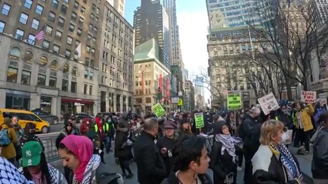 Salma elsayed__youtube